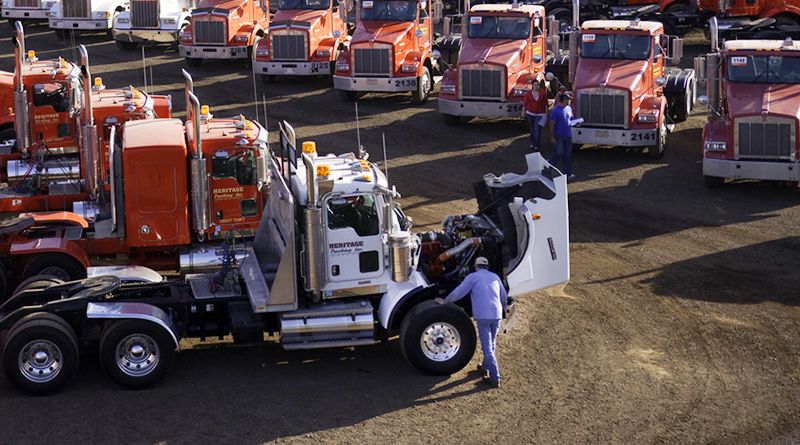 Inspektion av begagnade lastbilar inför en fordonsauktion.
